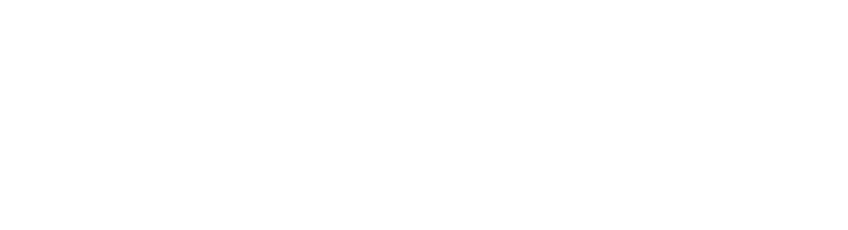 Seattle Flow Arts Collective